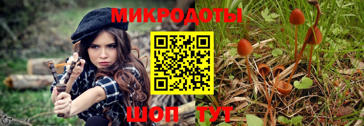 Псилоцибиновые грибы Psilocybe  хочу   Великие Луки  Вход с VPN 