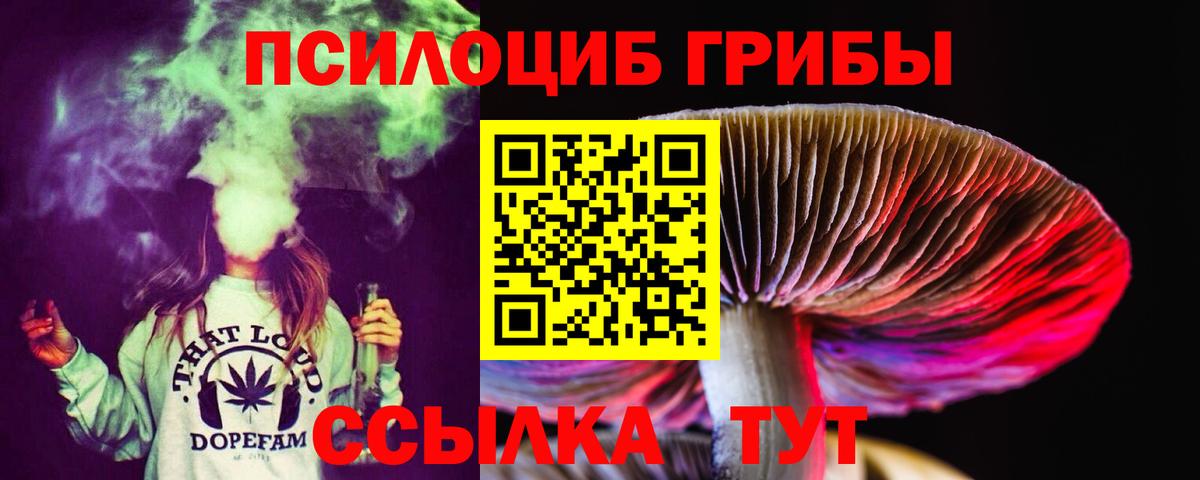 Галлюциногенные грибы мухоморы Великие Луки